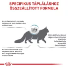 Royal Canin Veterinary Skin&coat bőr és szőrtápláló száraz macskaeledel 1,5kg