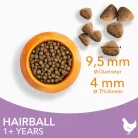 IAMS Vitality száraz macskaeledel adult hairball csirke 800g