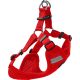 AniOne kutya hám hálós piros 32-46cm