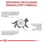 Royal Canin Veterinary Gastrointestinal emésztőszervi kölyök száraz macskaeledel  2kg