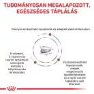 Royal Canin Veterinary Gastrointestinal emésztőszervi kölyök száraz macskaeledel  2kg