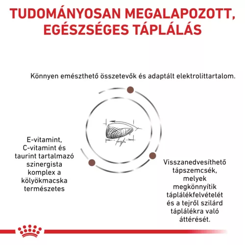 Royal Canin Veterinary Gastrointestinal emésztőszervi kölyök száraz macskaeledel  2kg