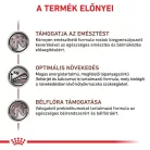 Royal Canin Veterinary Gastrointestinal emésztőszervi kölyök száraz macskaeledel  2kg
