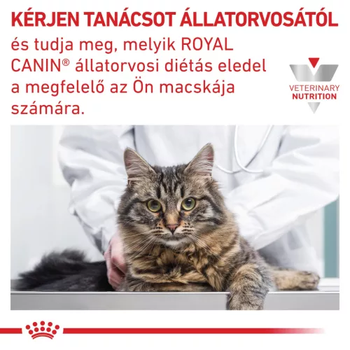 Royal Canin Veterinary Gastrointestinal emésztőszervi kölyök száraz macskaeledel  2kg