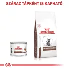 Royal Canin Veterinary Gastrointestinal kölyök macska konzerv 12x195g