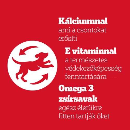 Pedigree Jumbone kutya jutalomfalat mini marha 4db