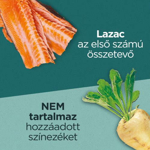 Purina One Dual Nature száraz macskaeledel adult steril lazac&áfonya 750g