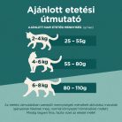 Purina One Dual Nature száraz macskaeledel adult steril lazac&áfonya 750g