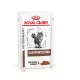 Royal Canin Veterinary Gastrointestinal emésztőszervi alutasak macskaeledel 12x85g