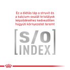 Royal Canin Veterinary Gastrointestinal emésztőszervi alutasak macskaeledel 12x85g