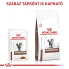 Royal Canin Veterinary Gastrointestinal emésztőszervi alutasak macskaeledel 12x85g