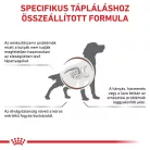 Royal Canin Veterinary Gastrointestinal emésztőszervi betegség száraz kutyaeledel 15kg