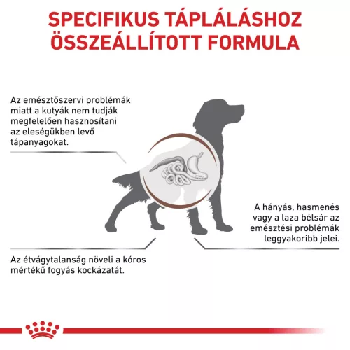 Royal Canin Veterinary Gastrointestinal emésztőszervi betegség száraz kutyaeledel 15kg