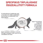 Royal Canin Veterinary Gastrointestinal hairball szőrlabda ellen száraz macskaeledel  2kg
