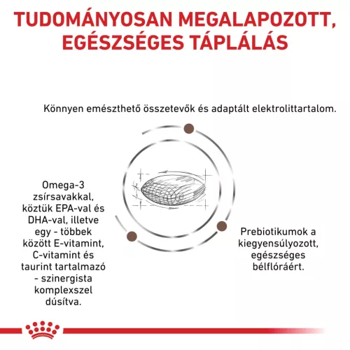 Royal Canin Veterinary Gastrointestinal hairball szőrlabda ellen száraz macskaeledel  2kg