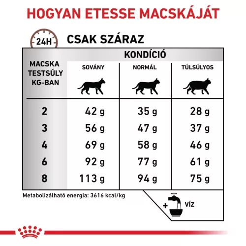 Royal Canin Veterinary Gastrointestinal hairball szőrlabda ellen száraz macskaeledel  2kg