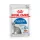 Royal Canin Feline Health Nutrition macska tasak adult Indoor Steril jelly 12x85g