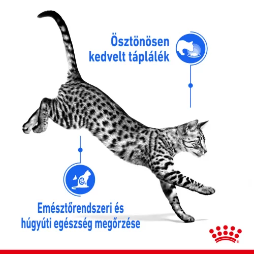 Royal Canin Feline Health Nutrition macska tasak adult Indoor Steril jelly 12x85g