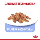 Royal Canin Feline Health Nutrition macska tasak adult Indoor Steril jelly 12x85g