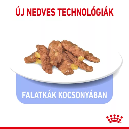 Royal Canin Feline Health Nutrition macska tasak adult Indoor Steril jelly 12x85g