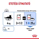 Royal Canin Feline Health Nutrition macska tasak adult Indoor Steril jelly 12x85g