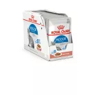 Royal Canin Feline Health Nutrition macska tasak adult Indoor Steril gravy 12x85g
