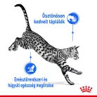 Royal Canin Feline Health Nutrition macska tasak adult Indoor Steril gravy 12x85g