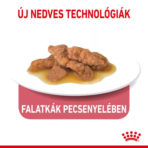 Royal Canin Feline Health Nutrition macska tasak adult Indoor Steril gravy 12x85g