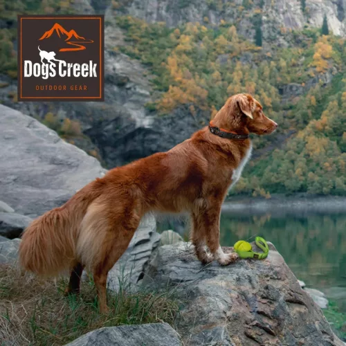 Dogs Creek Flying George kutyajáték