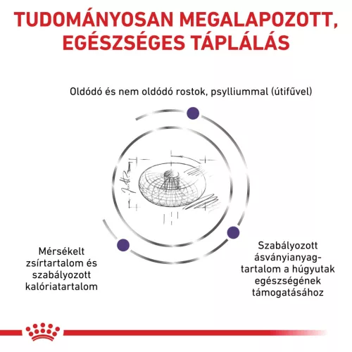 Royal Canin Veterinary Neutered S kistestű ivartalanított száraz kutyaeledel 3,5kg