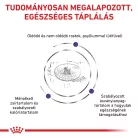 Royal Canin Veterinary Neutered S kistestű ivartalanított száraz kutyaeledel 8kg