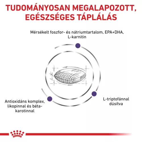 Royal Canin Veterinary Mature consult S kistestű idős kor száraz kutyaeledel 3,5kg