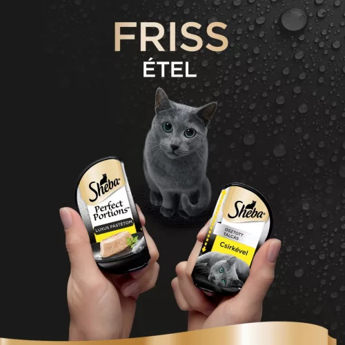Sheba macska tálka MP csirke 6x37,5g