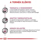 Royal Canin Veterinary Renal special vesebetegség ckd száraz macskaeledel 400g