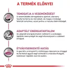 Royal Canin Veterinary Renal select vesebetegség ckd száraz macskaeledel 400g