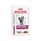 Royal Canin Veterinary Early Renal veseműködés támogatása alutasak macskaeledel 12x85g