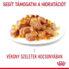 Royal Canin Feline Care Nutrition Appetite Control adult macska tasak 12x85g