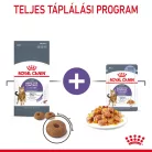 Royal Canin Feline Care Nutrition Appetite Control adult macska tasak 12x85g