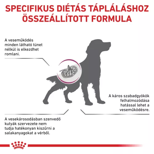 Royal Canin Veterinary Early Renal veseműködést támogató száraz kutyaeledel 2kg