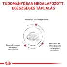 Royal Canin Veterinary Early Renal veseműködést támogató száraz kutyaeledel 2kg