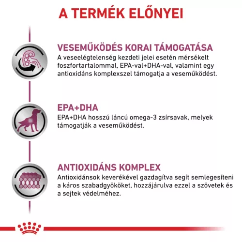 Royal Canin Veterinary Early Renal veseműködést támogató száraz kutyaeledel 2kg