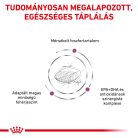 Royal Canin Veterinary Early Renal veseműködés támogatása száraz kutyaeledel 2kg