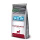 VetLife száraz kutyaeledel kímélő étrend 12kg