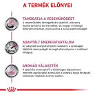 Royal Canin Veterinary Renal small vesebetegség ckd kistestű száraz kutyaeledel 3,5kg