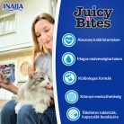 INABA Juicy Bites garnélarák&tengergyümölcsei 3x11,3g