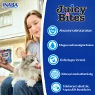 INABA Juicy Bites garnélarák&tengergyümölcsei 3x11,3g