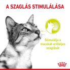 Royal Canin Sensory Smell macska tasak zselés 12x85g