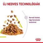 Royal Canin Sensory Smell macska tasak zselés 12x85g