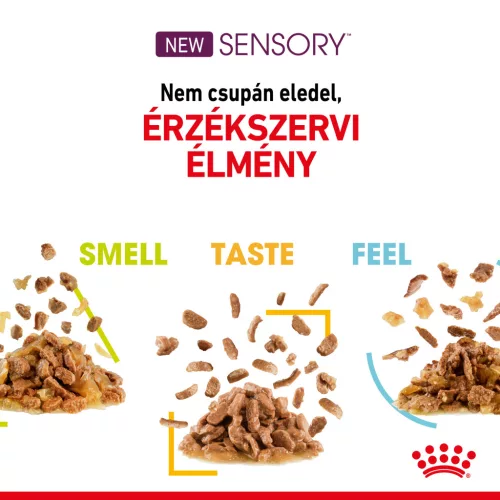 Royal Canin Sensory Smell macska tasak zselés 12x85g