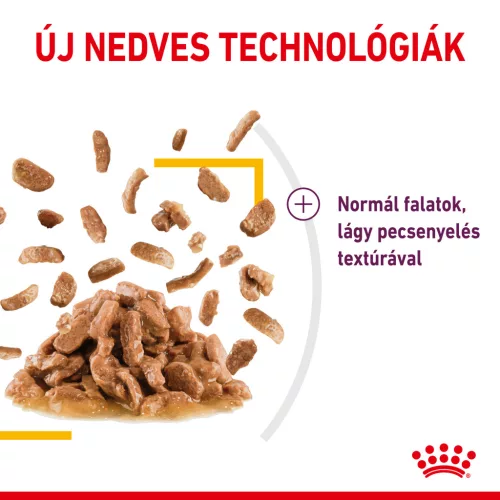 Royal Canin Sensory Taste macska tasak szósz 12x85g